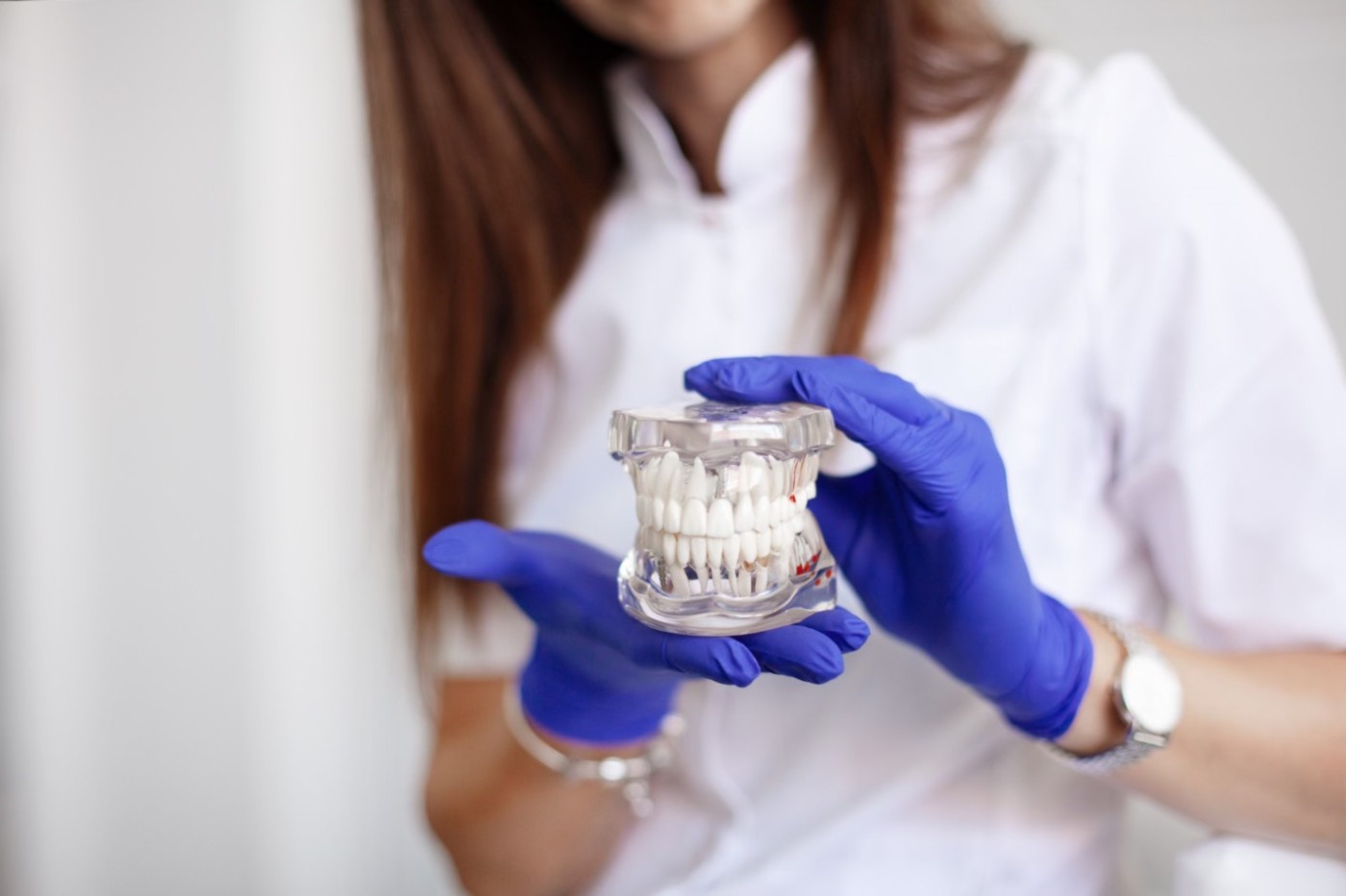 dentist care tine in mana un mulaj, maxilar, interventie chirurgicala dentara